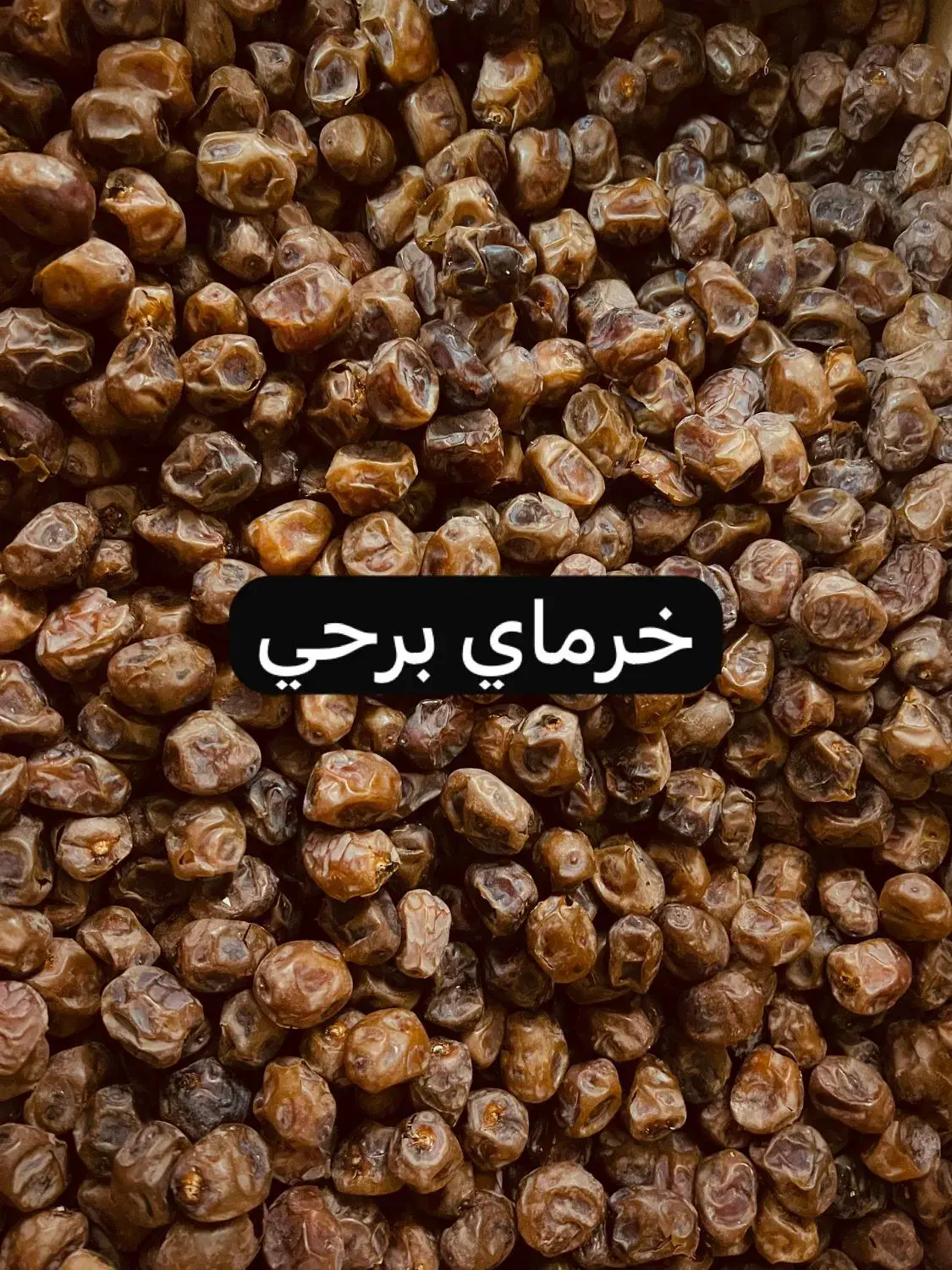 خرما و شیره خرمای جنوبی|خوردنی و آشامیدنی|قم, پردیسان|دیوار