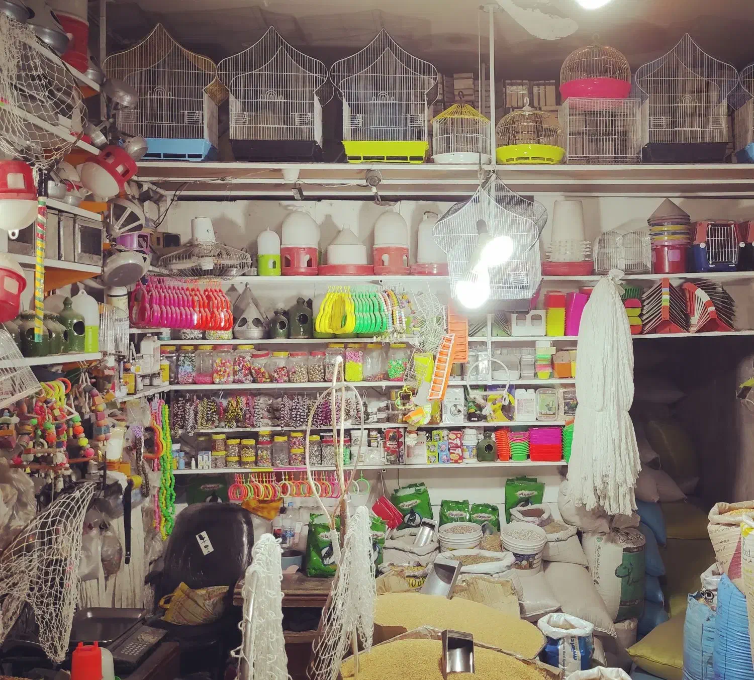 خرید و فروش انواع ارزن گندم ذرت کتان شاهدانه کبوتر|عمده‌فروشی|مشهد, مهدی آباد (بلوار توس)|دیوار