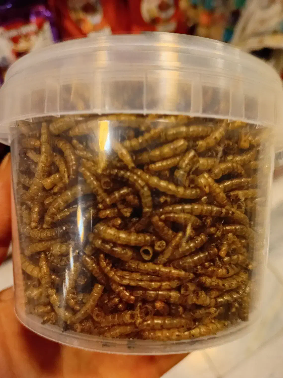 میلورم قوطی|لوازم جانبی حیوانات|رباطکریم, رباطکریم|دیوار