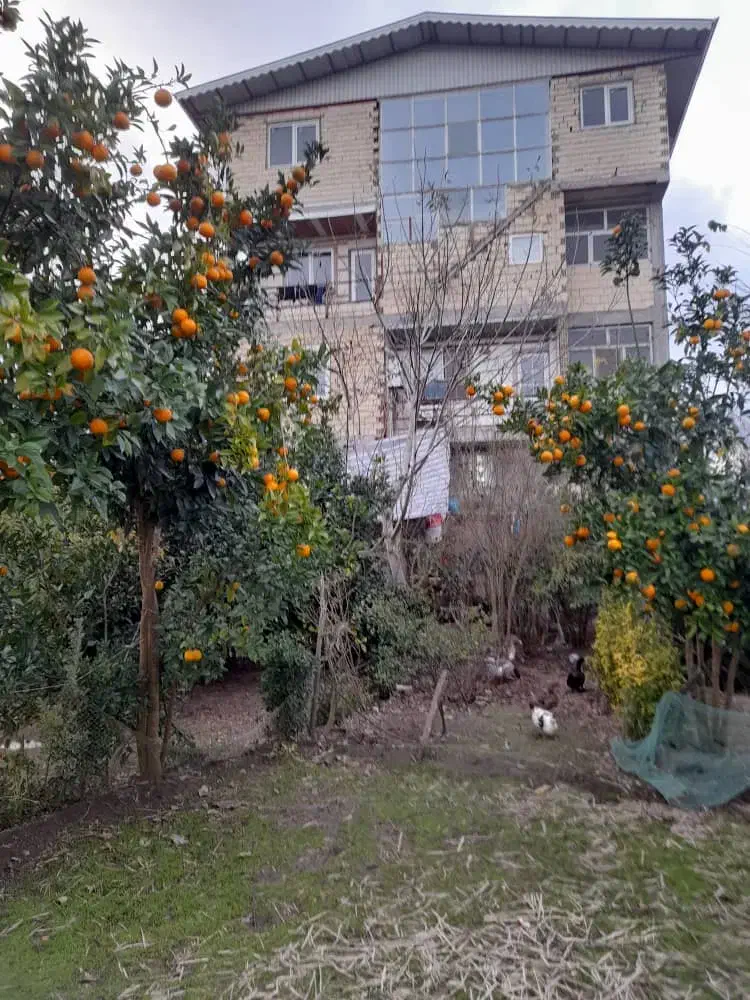 ساختمان تجاری مسکونی قابل معاوضه/تالش/قروق/|فروش خانه و ویلا|تالش, هشتپر|دیوار