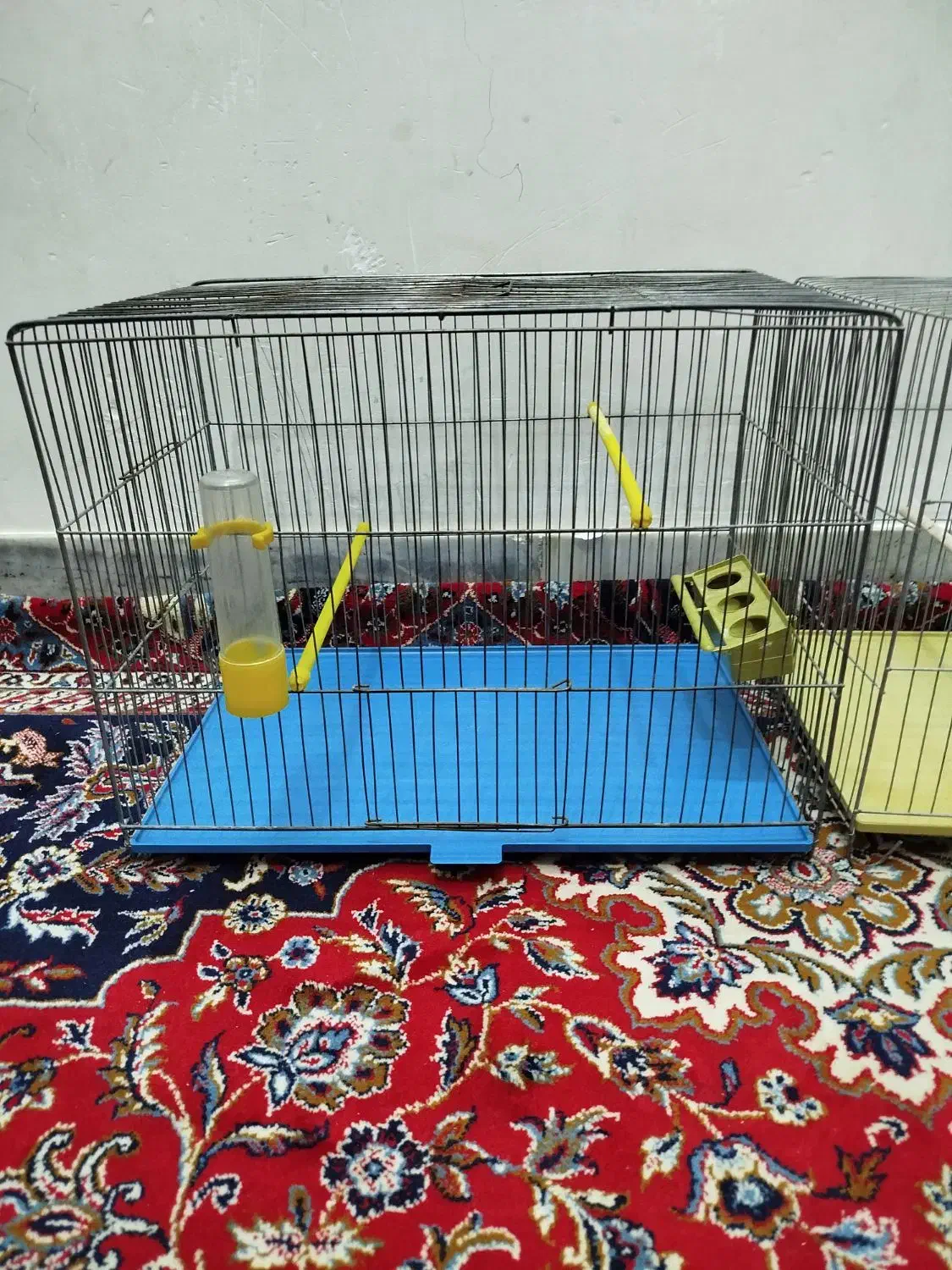 قفس پرنده|لوازم جانبی حیوانات|شاهین‌شهر, نبوت|دیوار