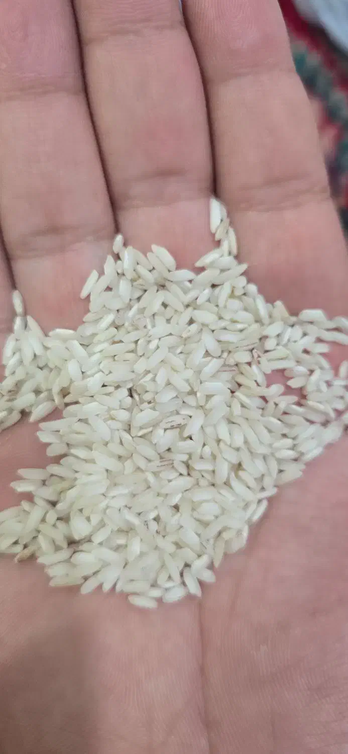 برنح حسنی|خوردنی و آشامیدنی|رشت, نخودچر|دیوار