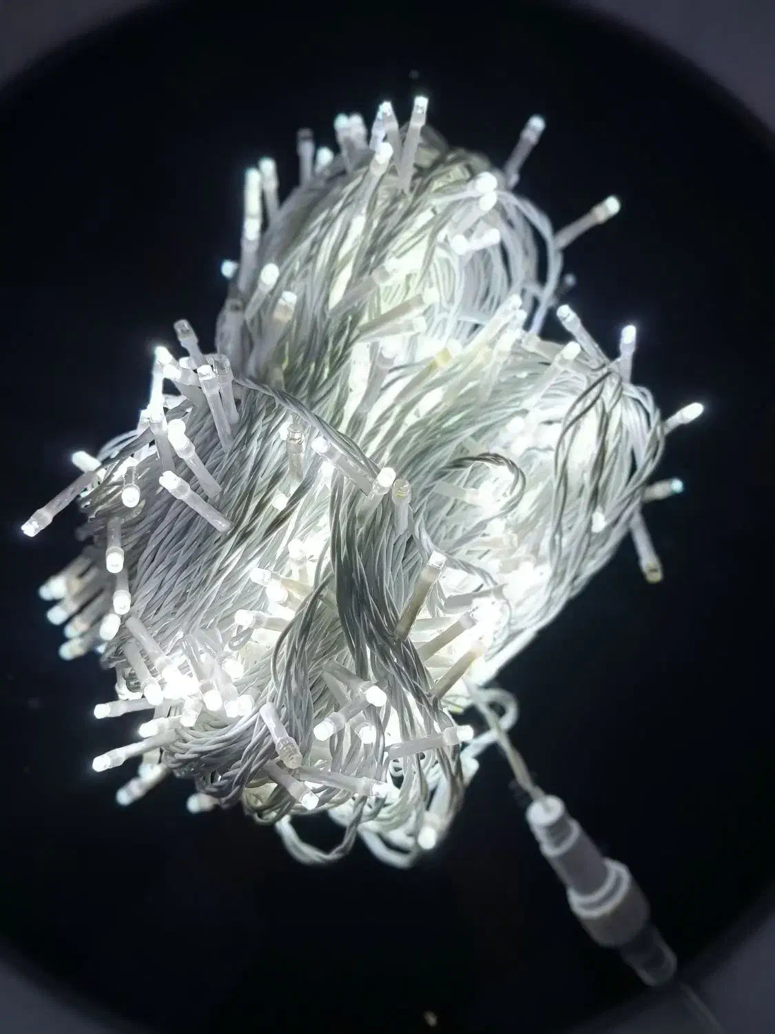 ریسه وارداتی|لامپ و چراغ|رفسنجان, |دیوار