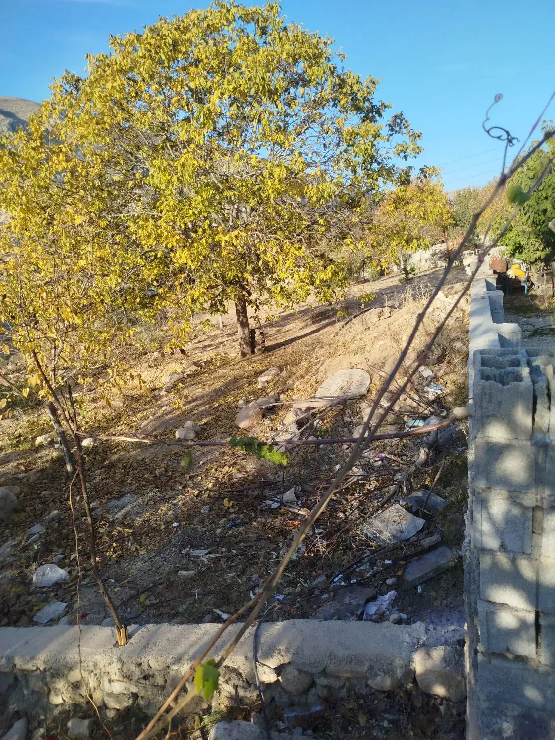 فروش زمین باغچه سادات|فروش زمین و ملک کلنگی|سرفاریاب, |دیوار