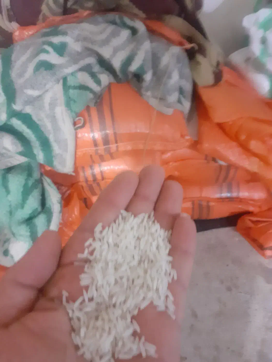 فروش برنج دُم سیاه صدری|خوردنی و آشامیدنی|کوچصفهان, |دیوار