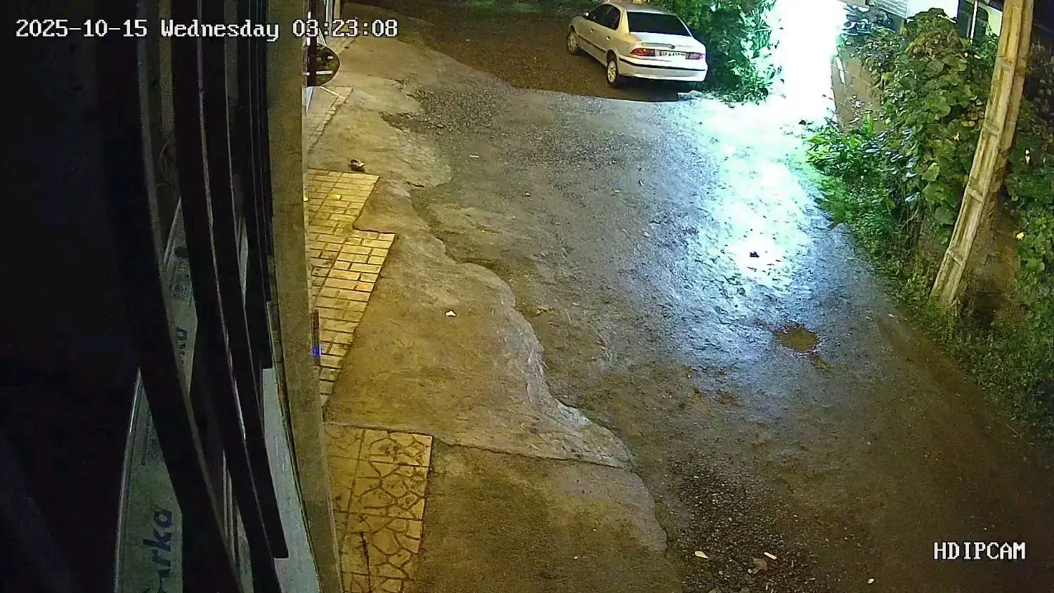 دوربین ریویژن-525-IPW-A3-T8|دوربین مداربسته|لاهیجان, گلستان|دیوار