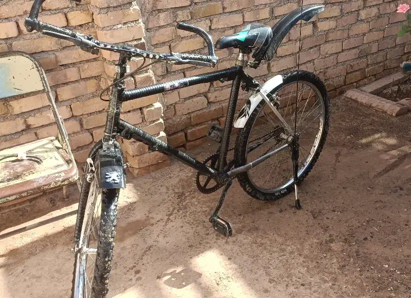 دوچرخه دماوند|دوچرخه، اسکیت، اسکوتر|تربت جام, جامی|دیوار