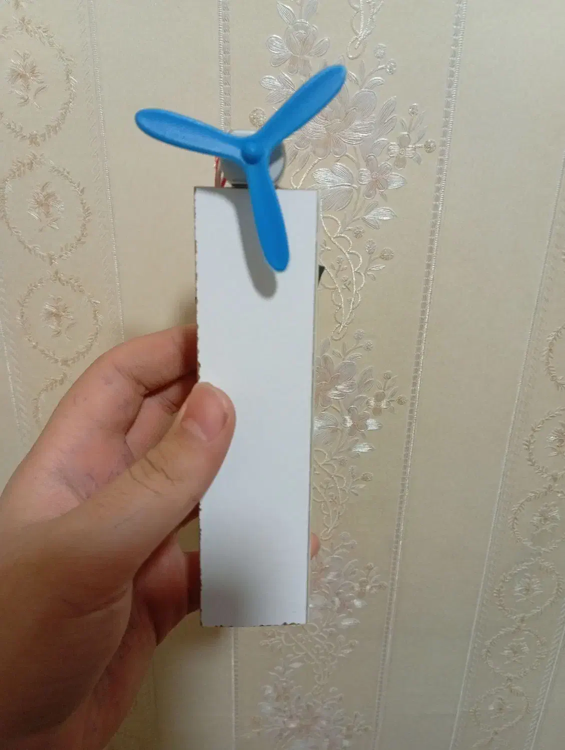 سفارش انواع کاردستی های دانش آموزان|صنایع دستی و سایر لوازم تزئینی|تبریز, |دیوار