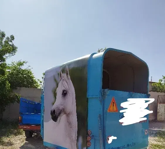 اسبکش|اسب و تجهیزات اسبسواری|تبریز, |دیوار