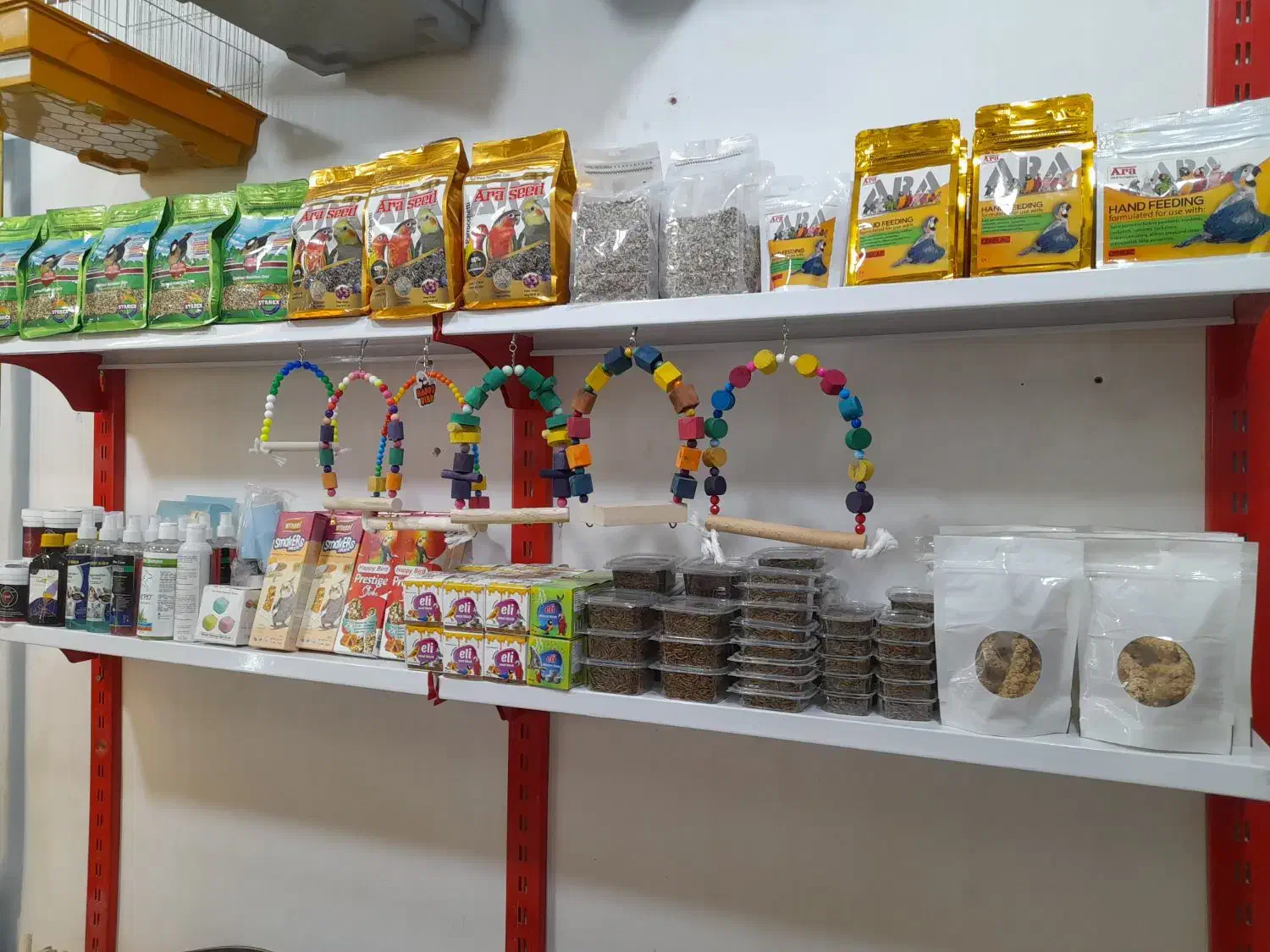 ملزومات پرنده|پرنده|خرمشهر, |دیوار