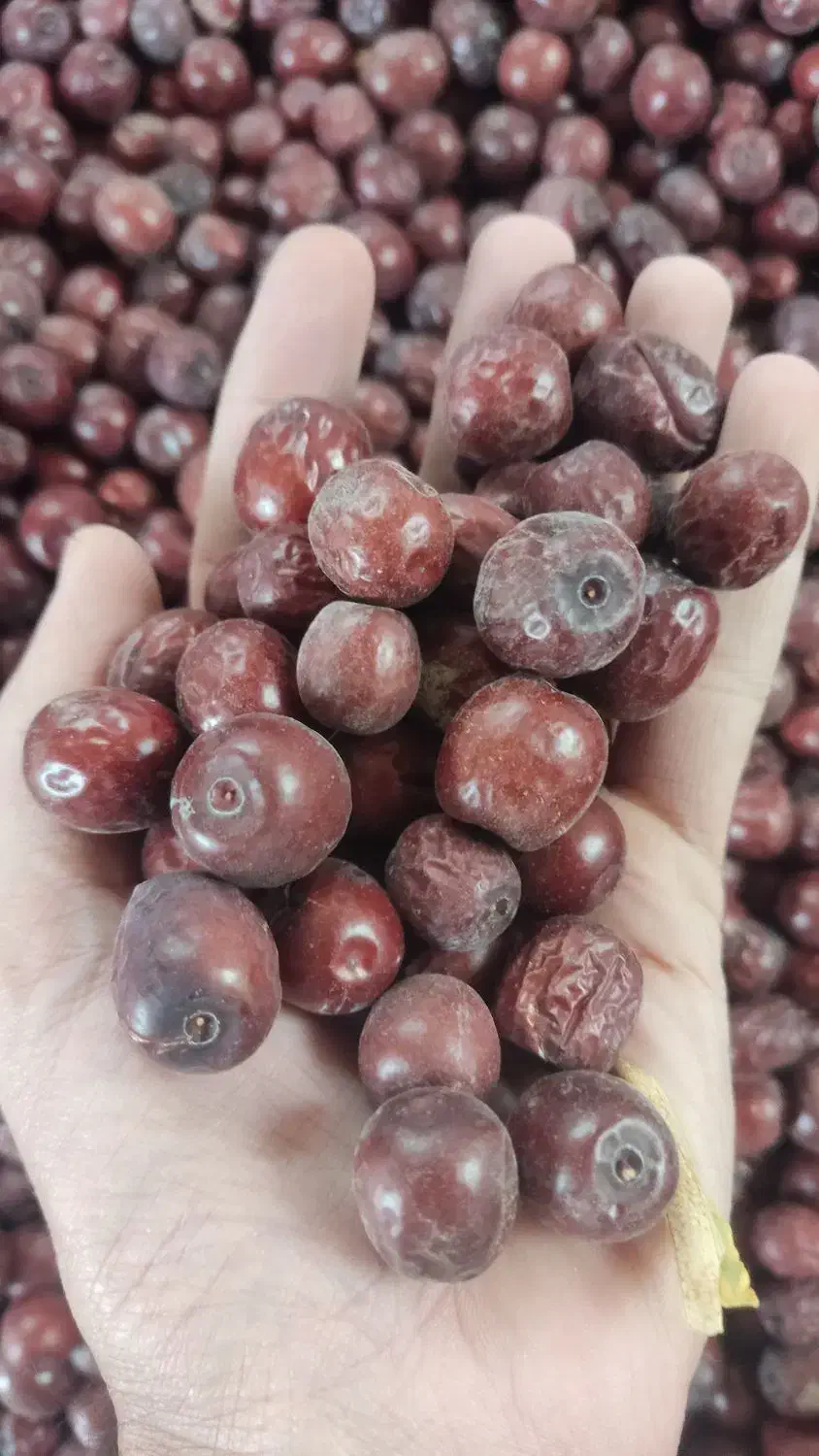 عناب درهم سیوجان|خوردنی و آشامیدنی|خوسف, |دیوار