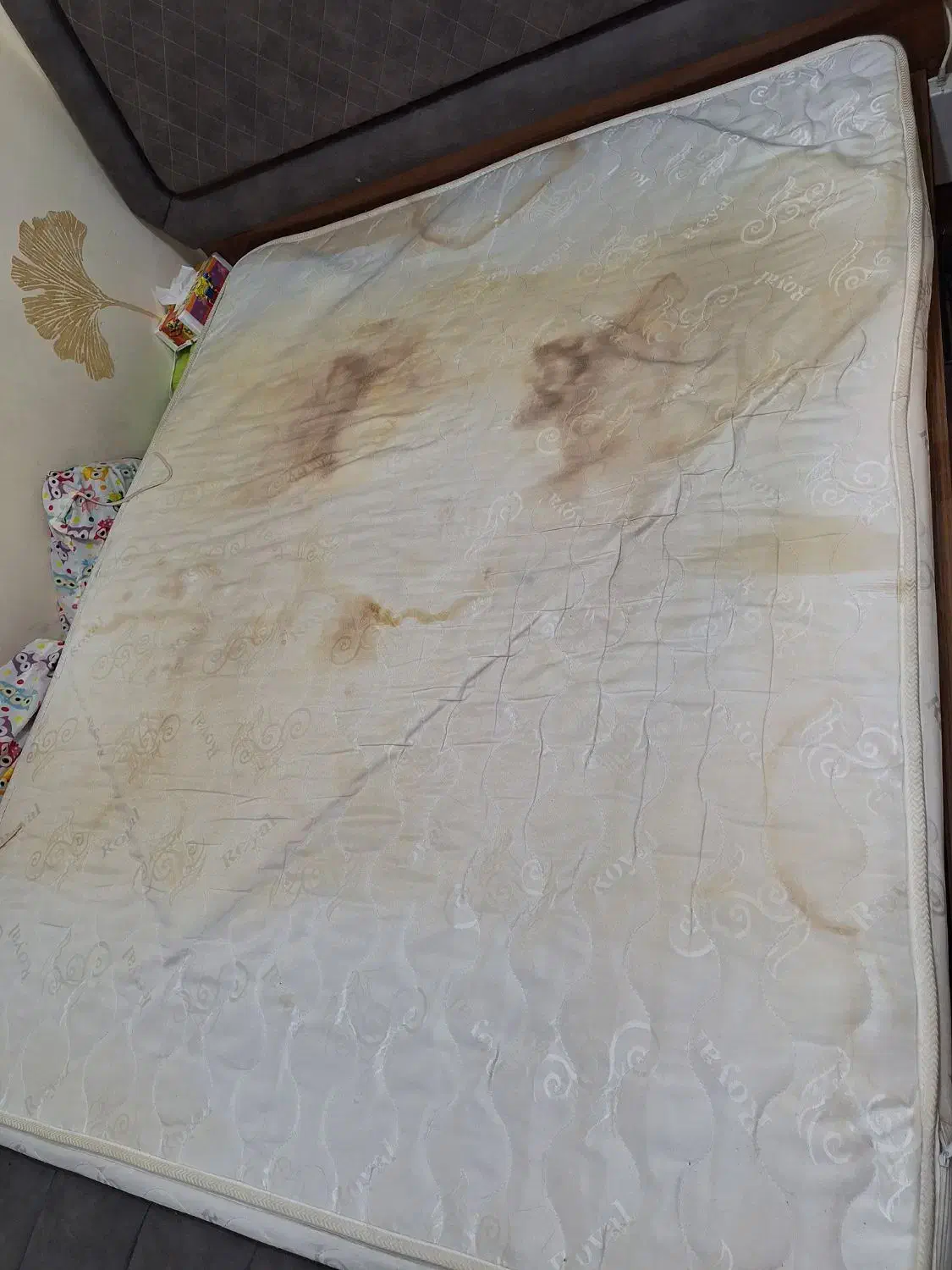 تشک دونفره رویال|تشک تختخواب|اهواز, گلستان|دیوار