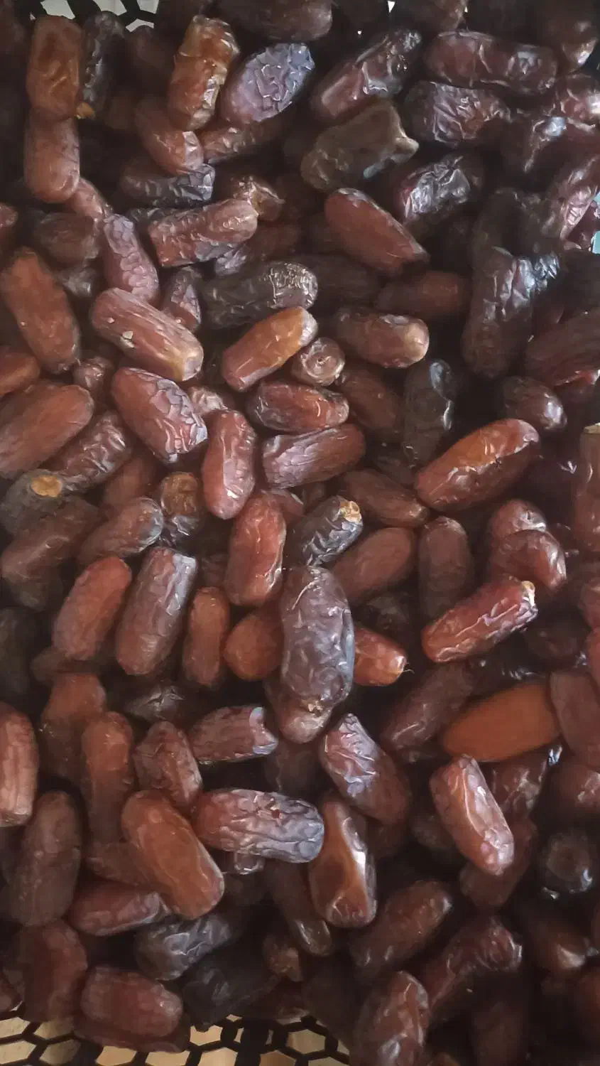 خرما پیارم|حراج|شیراز, زند|دیوار