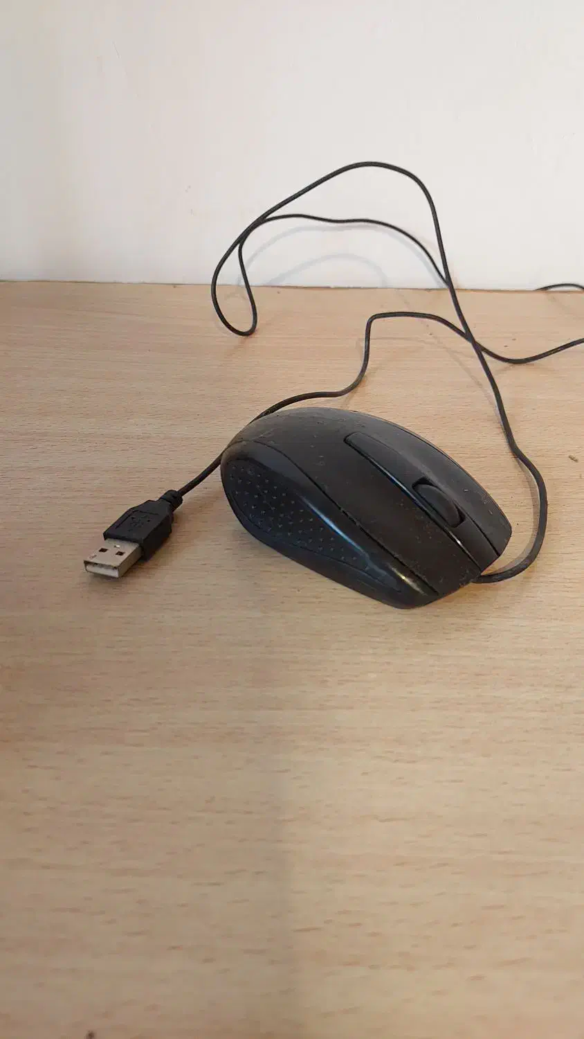 موس سالم green|قطعات و لوازم جانبی رایانه|لاهیجان, لیالستان|دیوار