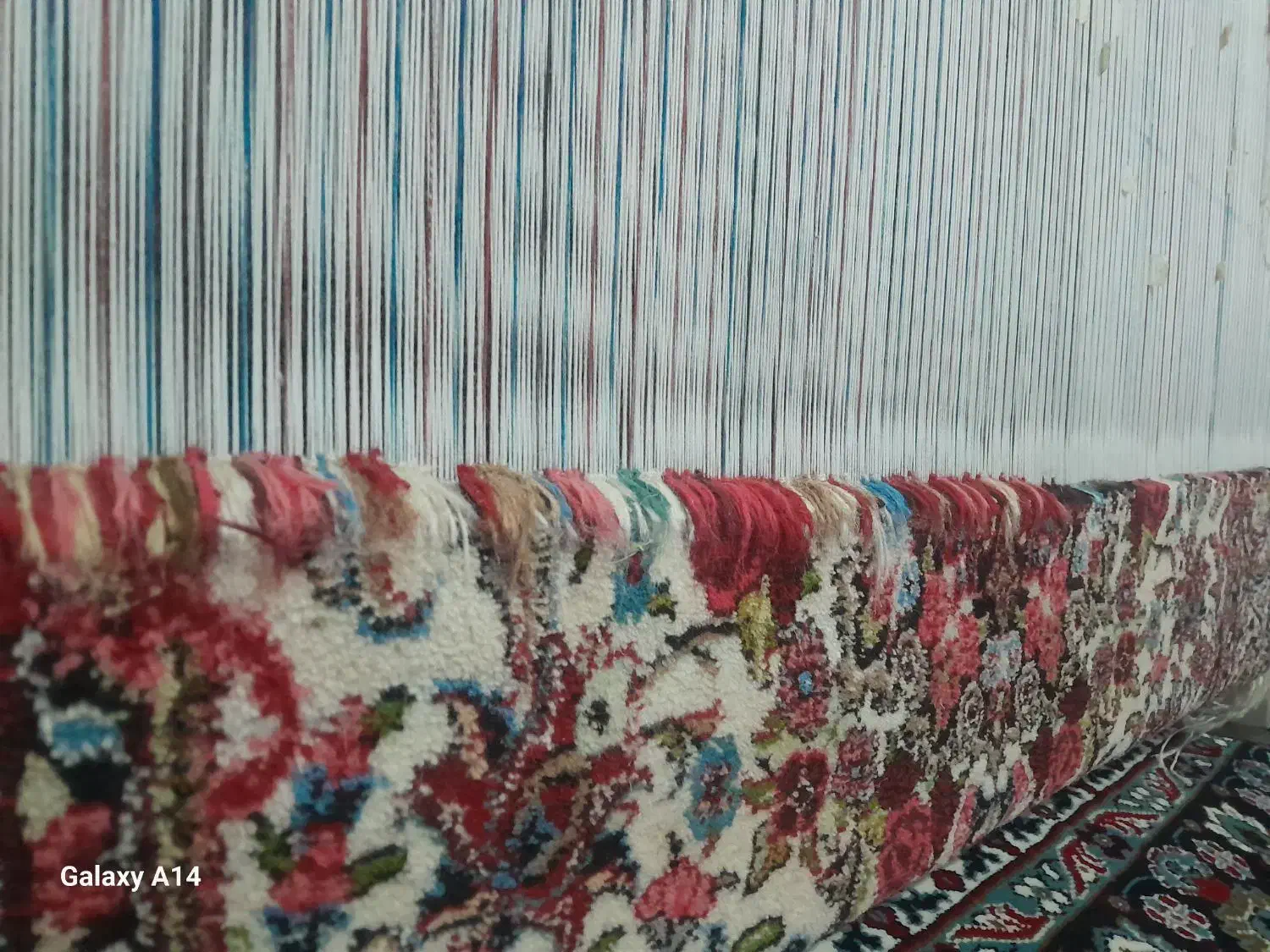 دارقالی|فرش|باوله, |دیوار