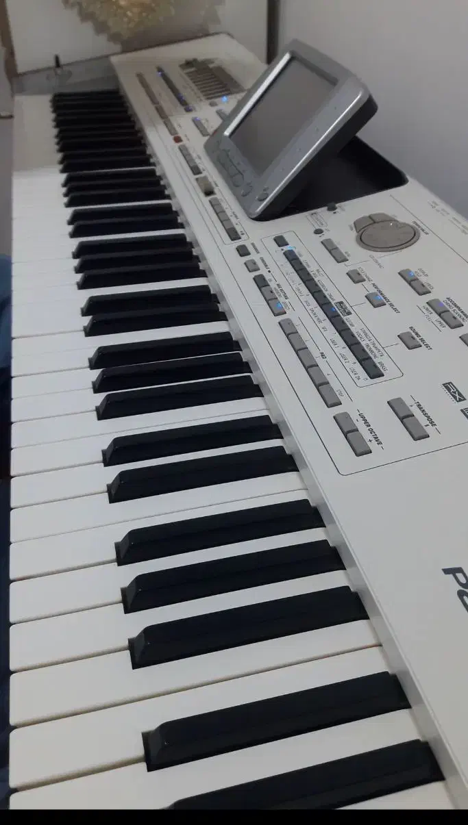 ارگ pa2|پیانو، کیبورد، آکاردئون|سهند, |دیوار