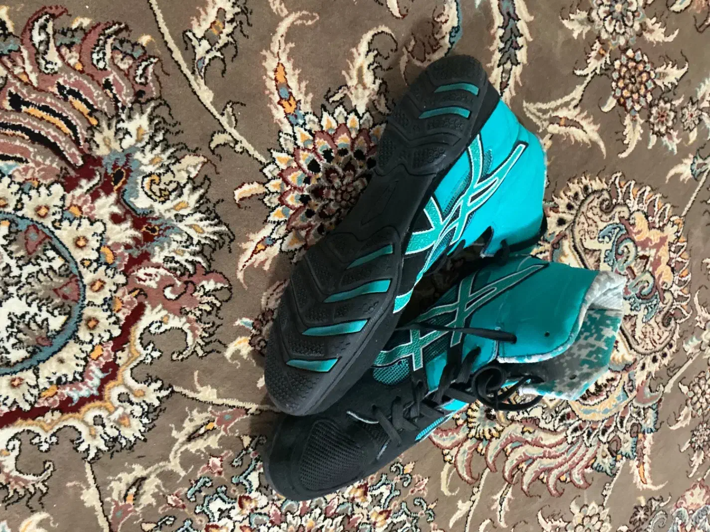 کفش حرفه ای کشتی و بدنسازی و بوکس مفت|کیف، کفش، کمربند|یاسوج, |دیوار