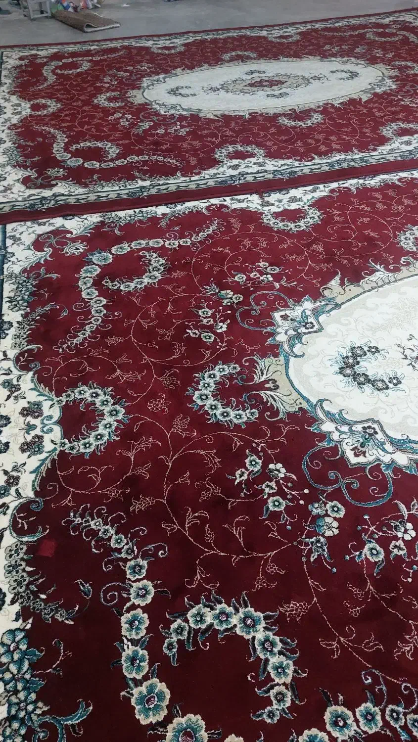 دوتا قالی|فرش|برازجان, |دیوار