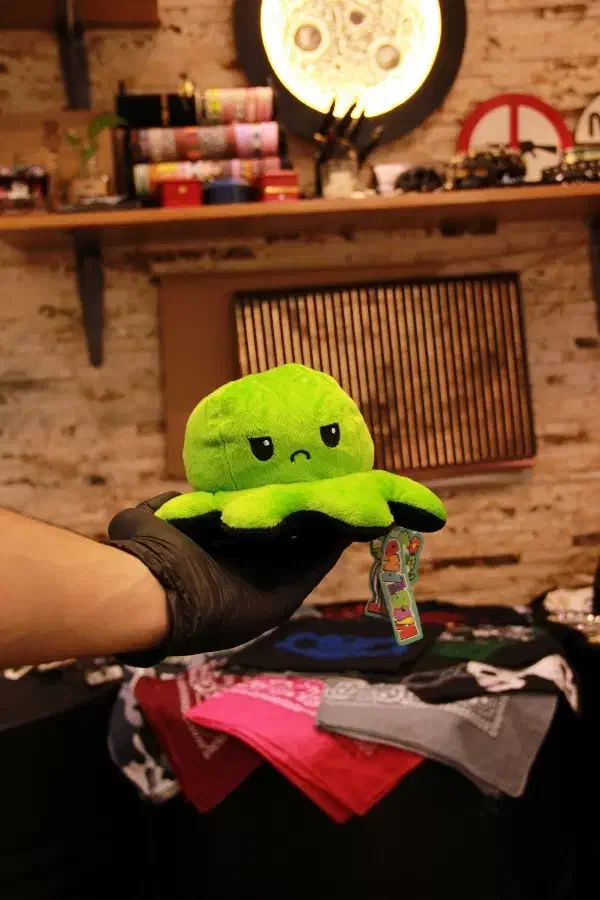 فروش انواع عروسک (فروشگاه دلتا)|اسباببازی|تبریز, |دیوار