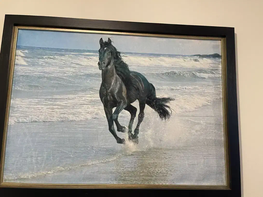 تابلو فرش اسب سیاه دونده درساحل بدون قاب یک در ۷۰|تابلو فرش|شهرکرد, |دیوار