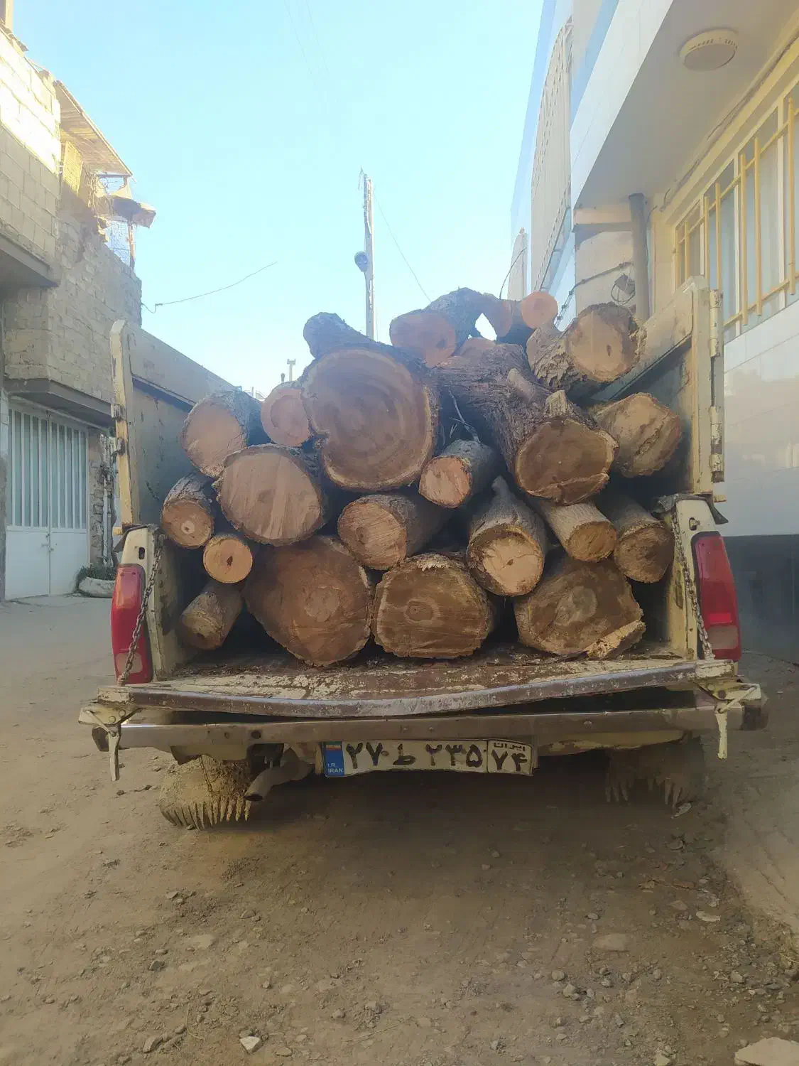 قطع انواع درخت بامجوز وخرید چوب|خدمات باغبانی و درختکاری|نیشابور, امام خمینی|دیوار