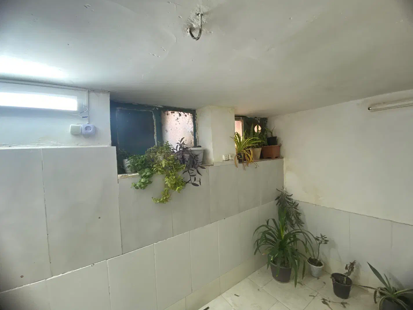 خانه مجردی مخصوص خانم در 22بهمن|اجارهٔ آپارتمان|سبزوار, فیاض|دیوار