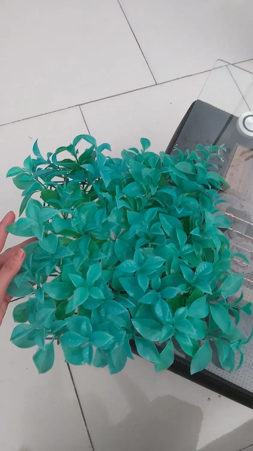 مجسمه.گل.درختچه.سبزه مصنوعی|گل مصنوعی|سبزوار, نواب صفوی|دیوار