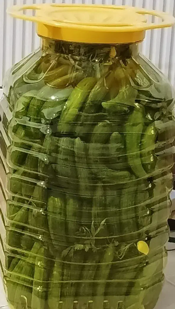 فروش خیار شور خانگی|خوردنی و آشامیدنی|منجیل, |دیوار