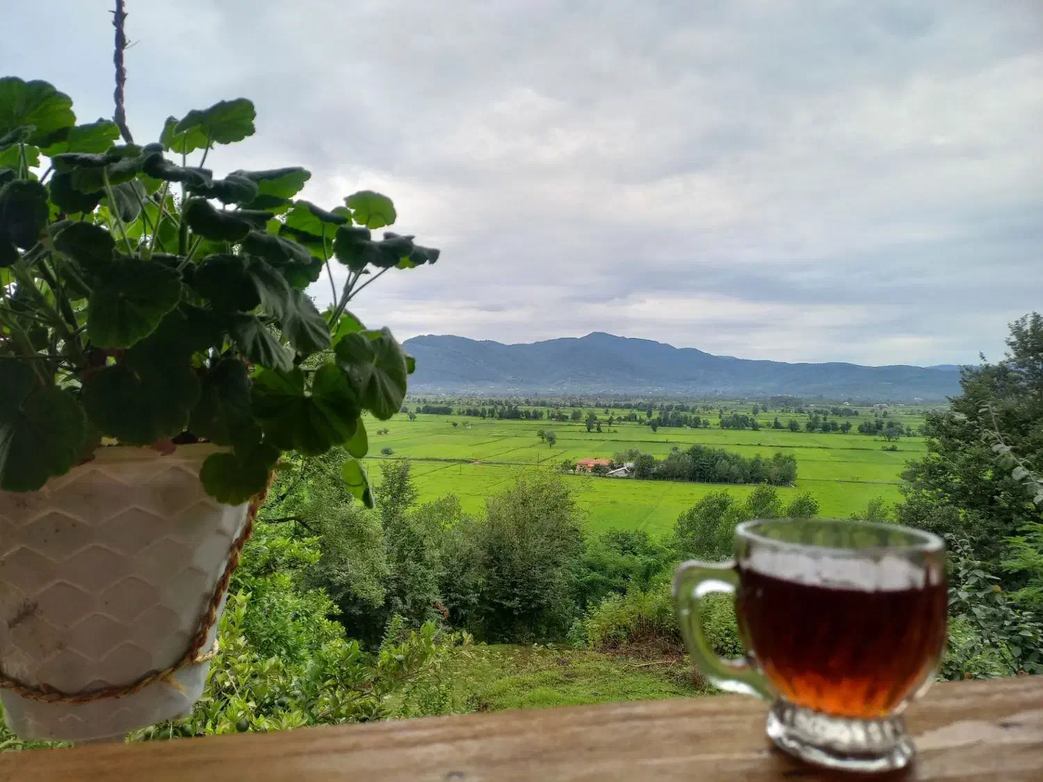 ویلا جنگلی کناررودخانه درمیرزاگلبند(امامزاده هاشم)|اجارهٔ کوتاه‌مدت آپارتمان و سوئیت|رشت, لاکان|دیوار