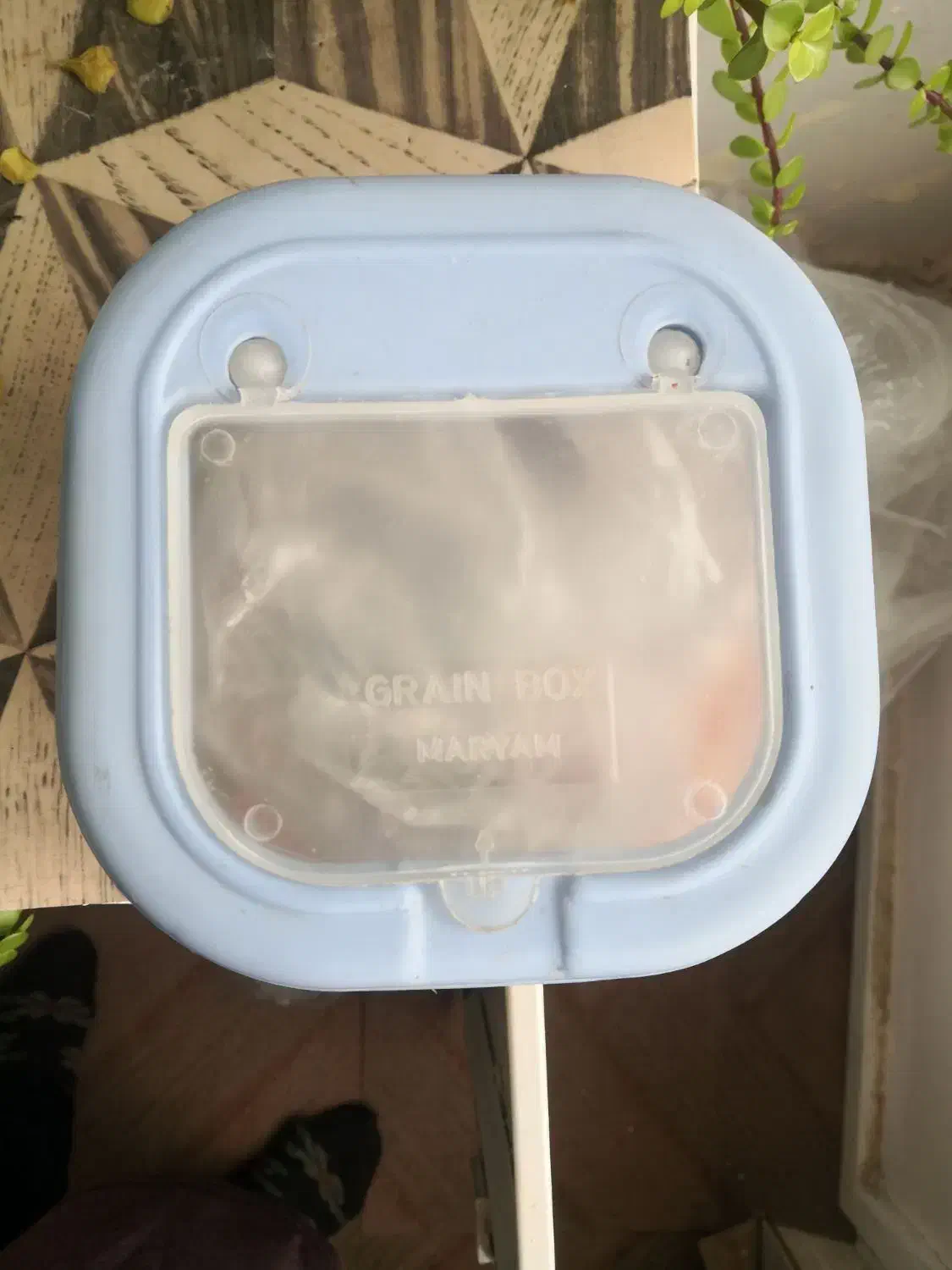 ظرف حبوبات|ظروف نگهدارنده، پلاستیکی، یکبارمصرف|مشهد, ادیب نیشابوری (شهرک غرب)|دیوار