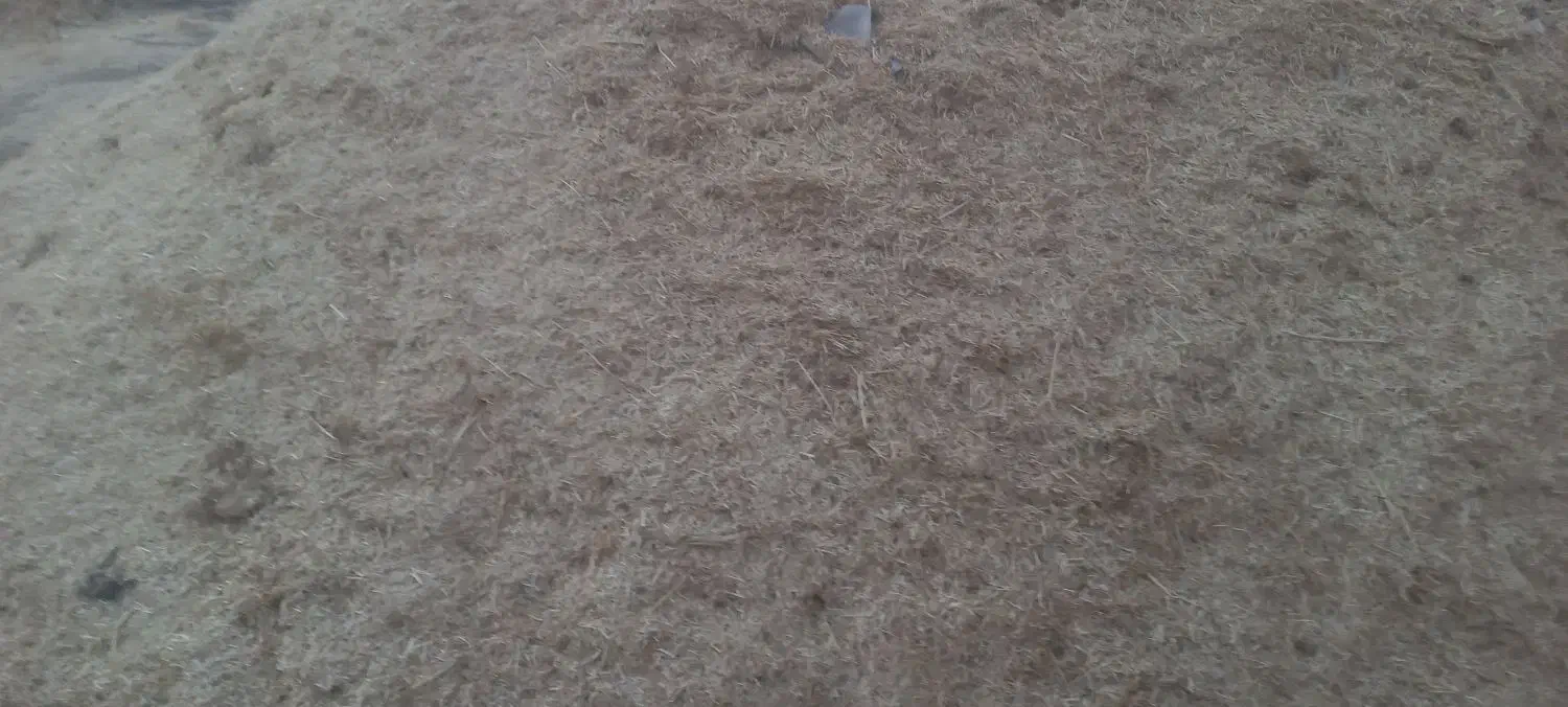 کاه سال گذشته|عمده‌فروشی|سنقر, |دیوار