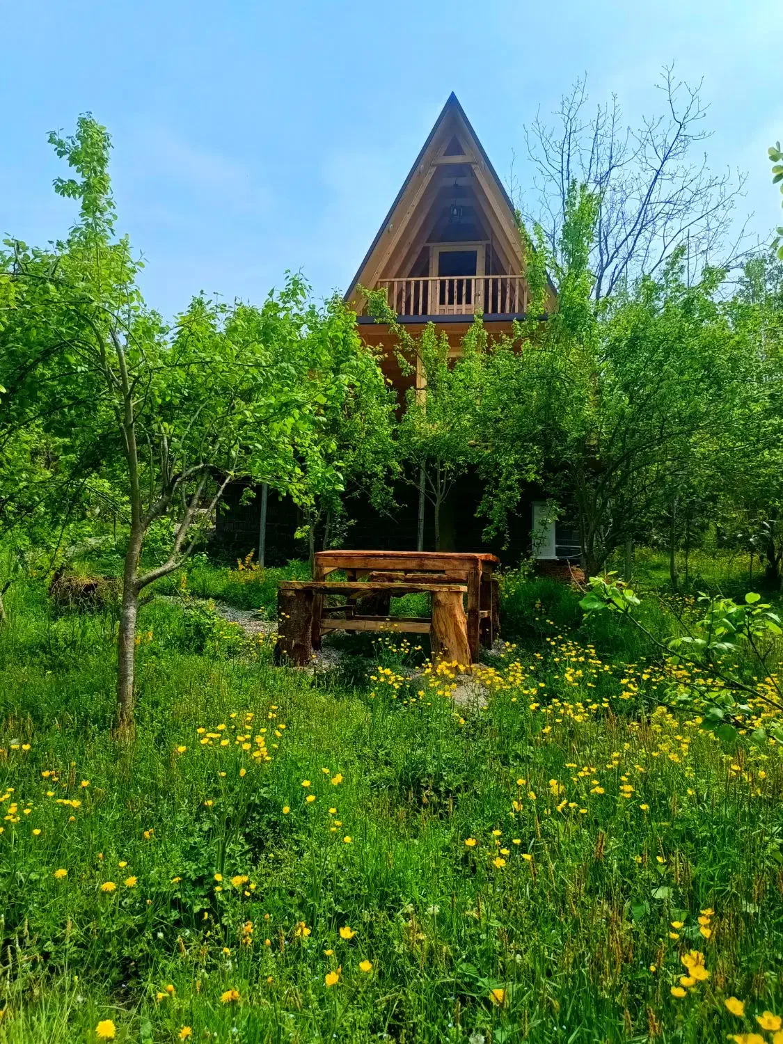 اجاره روزانه کلبه سوئیسی و سنتی|اجارهٔ خانه و ویلا|مرزیکلا, |دیوار