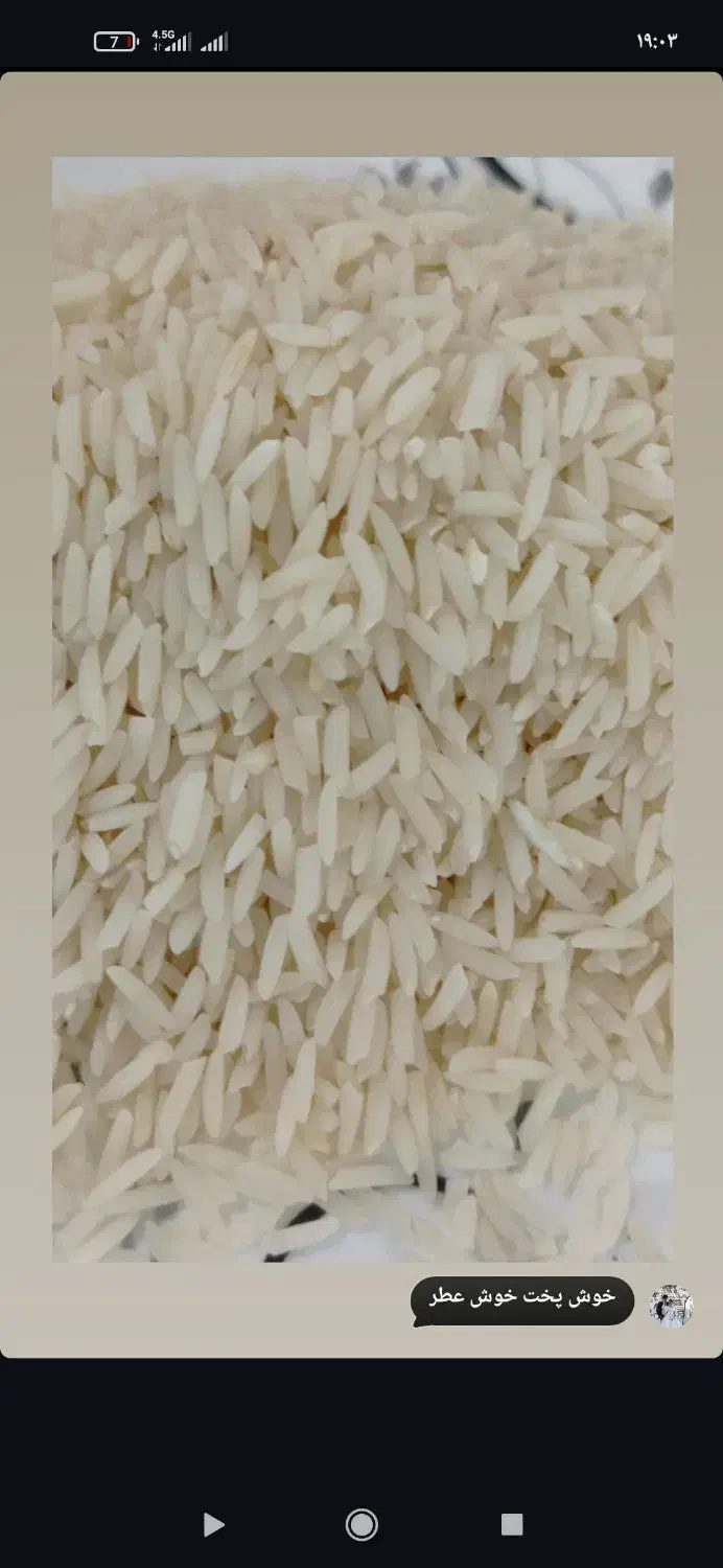 برنج دم سیاه|خوردنی و آشامیدنی|مشهد, منزل آباد|دیوار