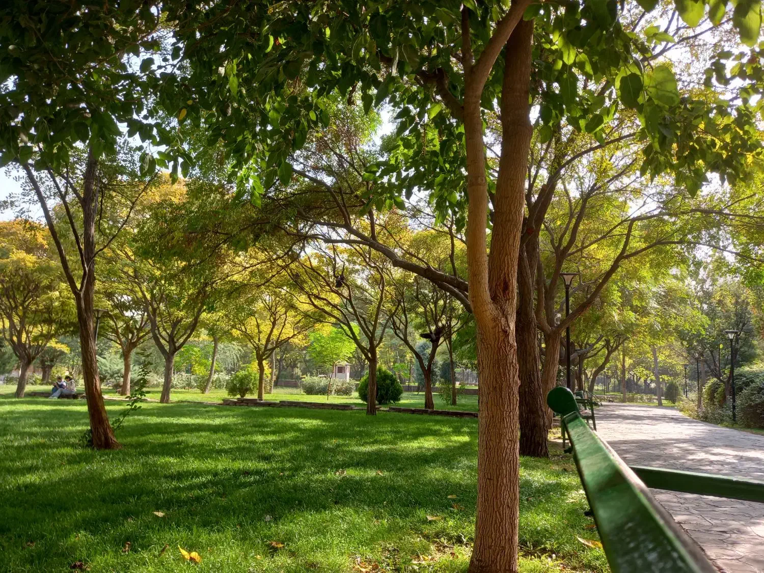 مشاوره مالی|فعالیت داوطلبانه|مشهد, کوثر|دیوار