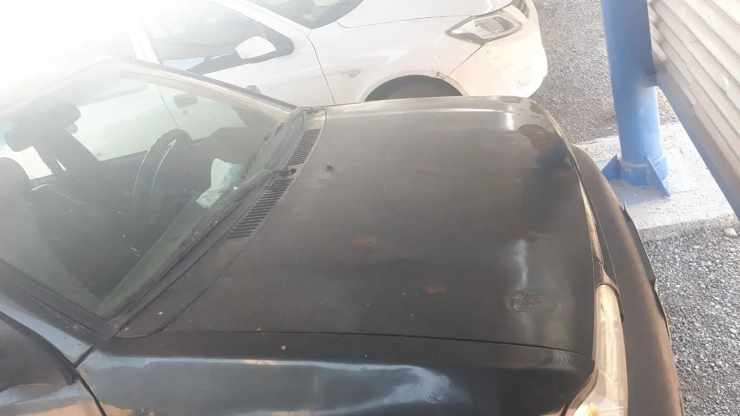 فروش|خودرو سواری و وانت|قم, تولید دارو و یخچال|دیوار