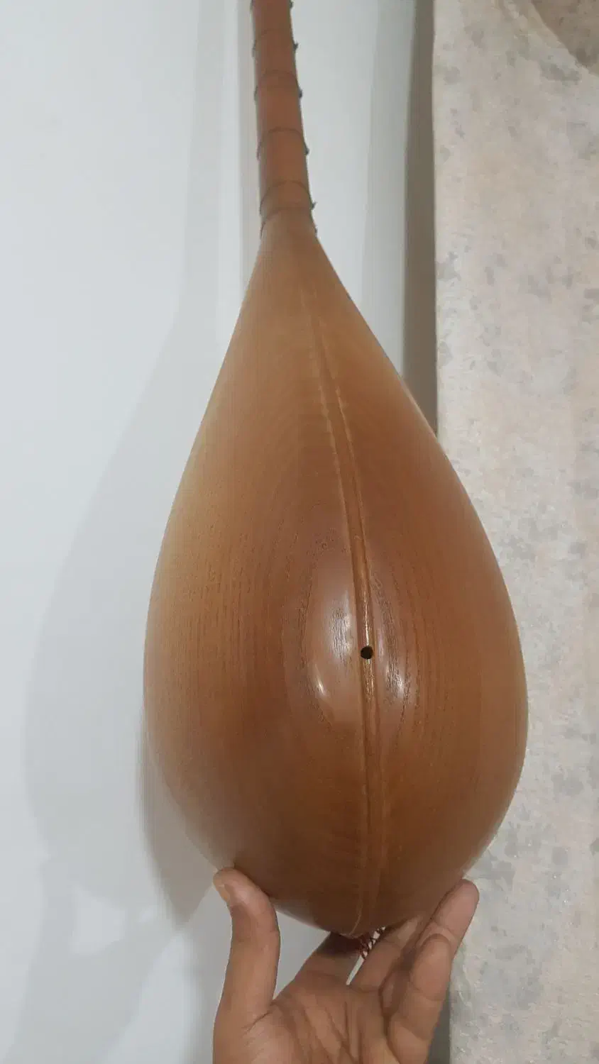 دوتار استادی دومهر|سازهای سنتی|زیرکوه, |دیوار