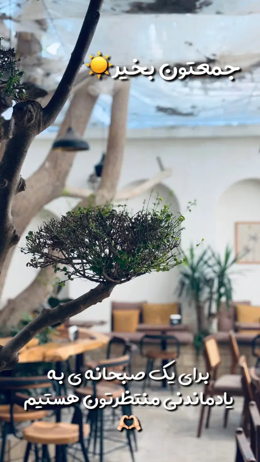 کافه ریحا|استخدام خدمات فروشگاه و رستوران|بوشهر, |دیوار