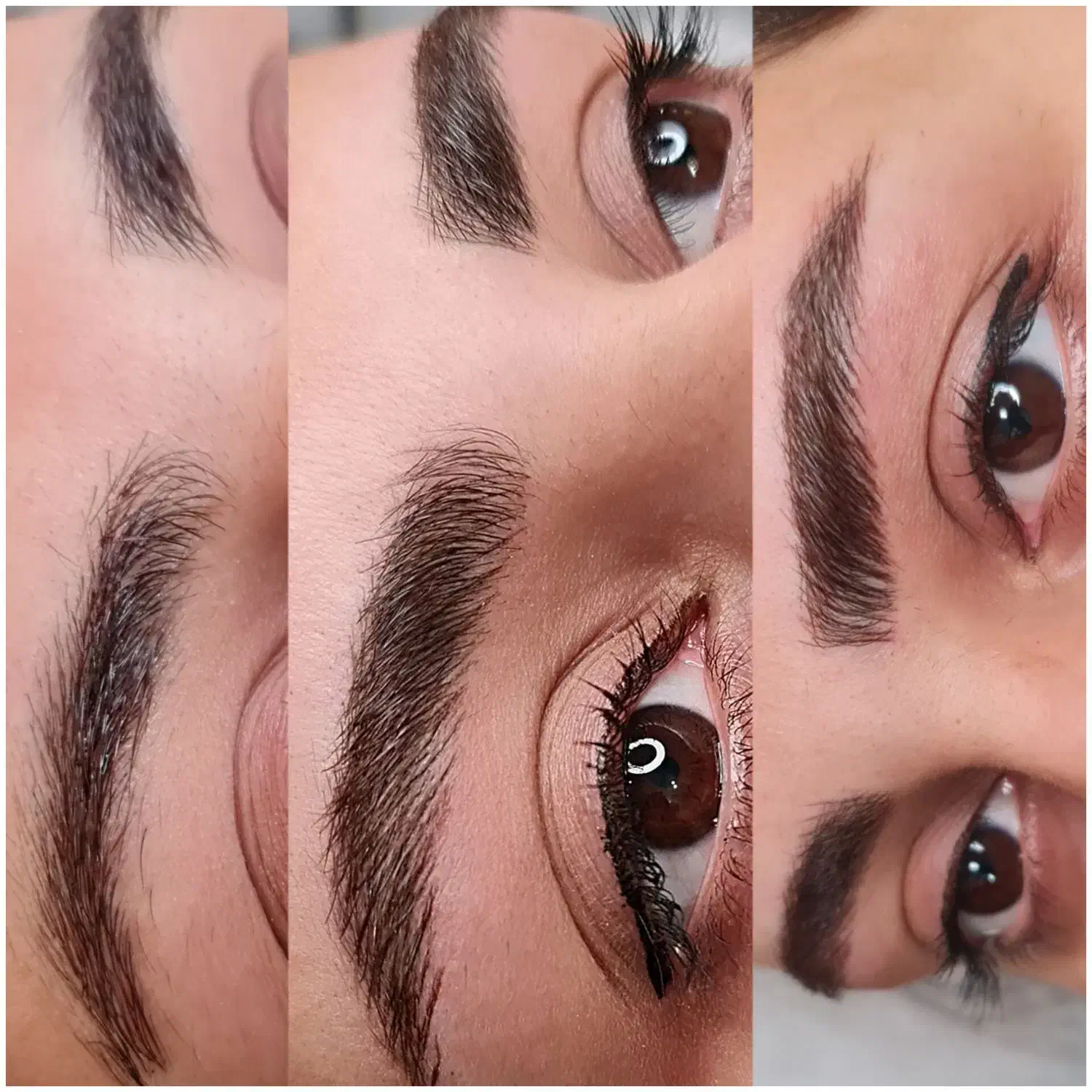 میکروبلیدینگ ابرو و شیدینگ لب و خط چشم|خدمات آرایشگری و زیبایی|رشت, معلم|دیوار