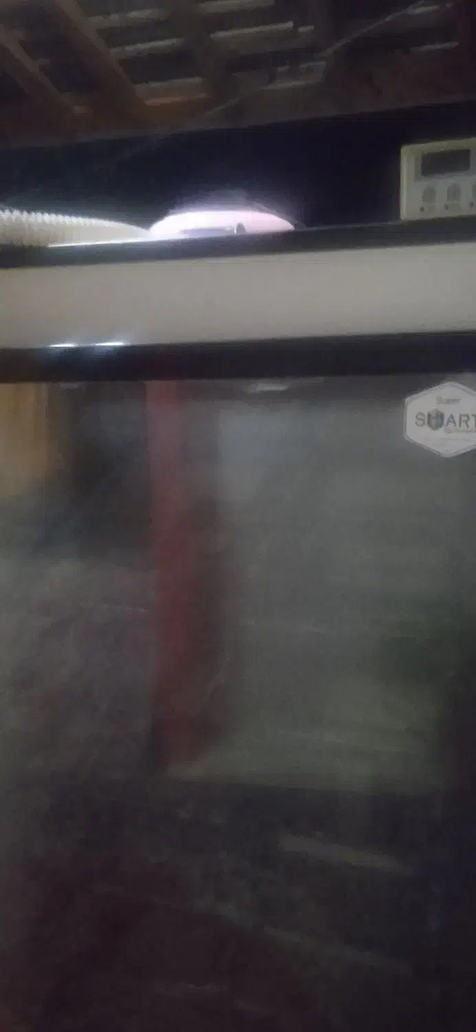 دستگاه جوجه کشی|حیوانات مزرعه|آستانه اشرفیه, |دیوار