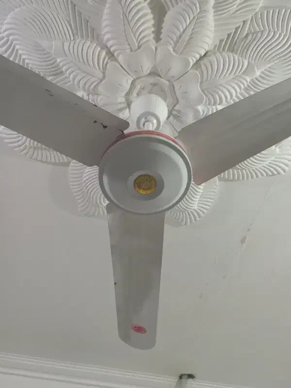 پنکه سقفی سالم|پنکه و تصفیهکنندهٔ هوا|زابل, |دیوار