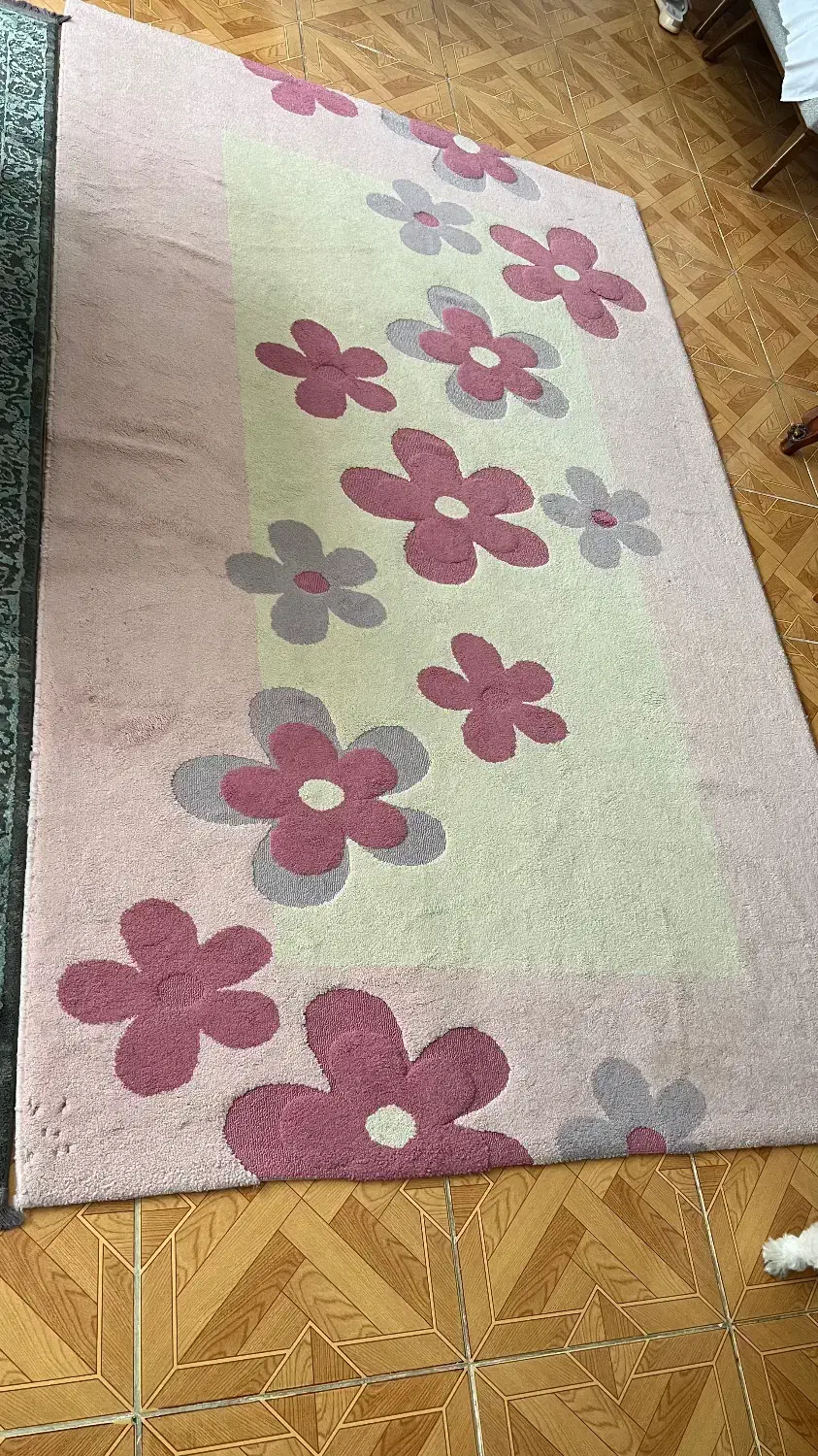 فرش ماشینی|فرش|رودسر, |دیوار