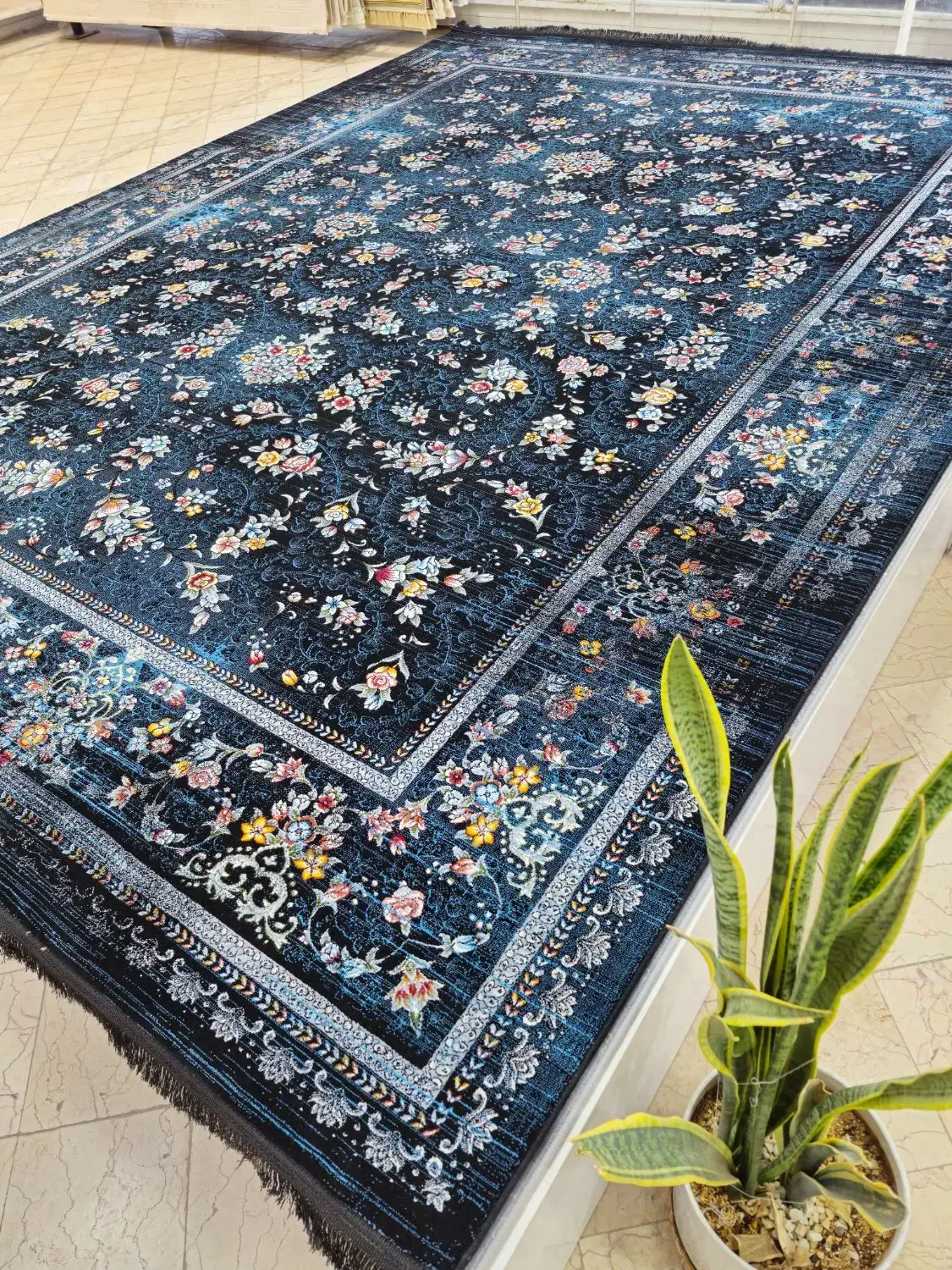 فرش|فرش|ایرانشهر, |دیوار