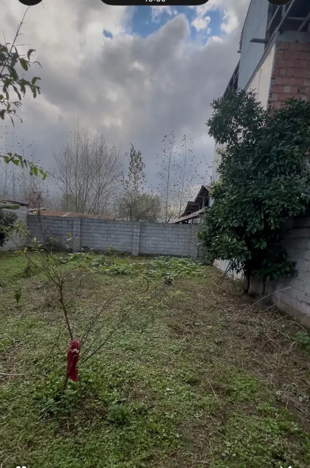 ۲۶۱ متر زمین مسکونی دور دیوار|فروش زمین و ملک کلنگی|خمام, |دیوار