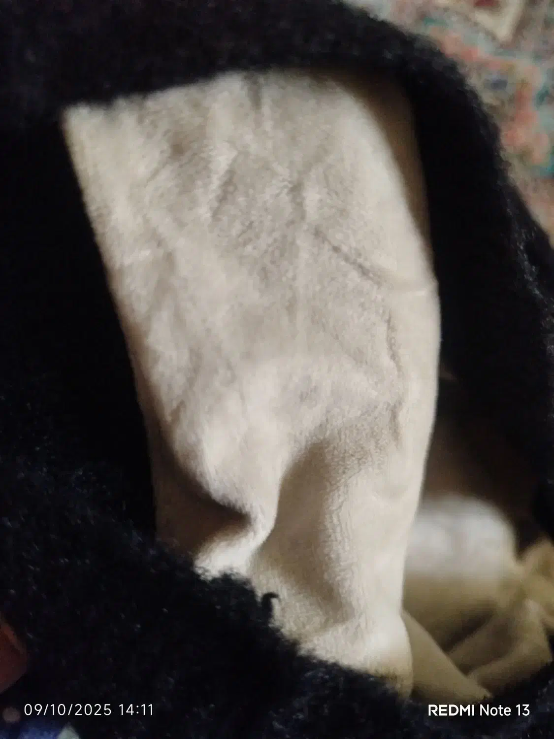 یقه اسکی مخمل استر دار|لباس|نظرآباد, شهرک سید جمال الدین|دیوار