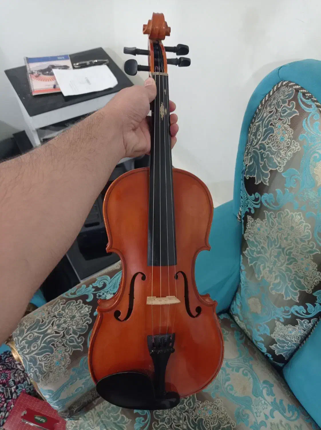 ویولن T.F|ویولن|کازرون, |دیوار