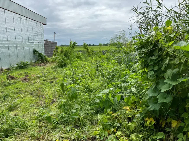 زمینی کلنگی، ۲۰۱ متر مربع|فروش زمین و ملک کلنگی|کیاشهر, |دیوار