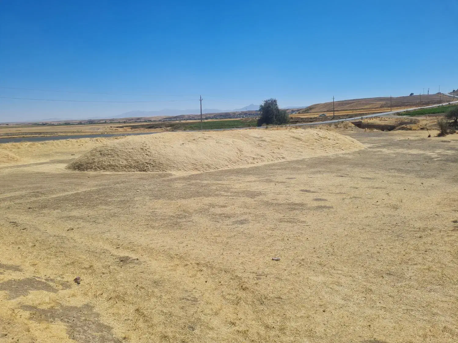 کاه گندم دیم|عمدهفروشی|دهگلان, |دیوار