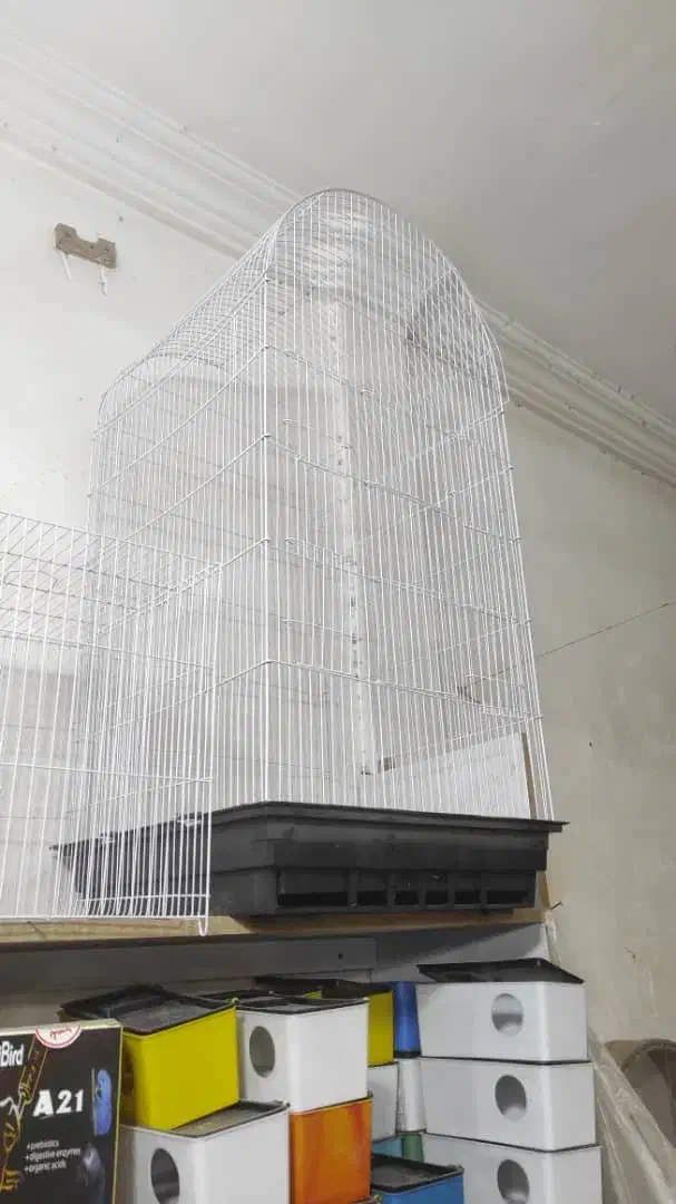 قفس سالم و نو|لوازم جانبی حیوانات|مشهد, چهارچشمه|دیوار