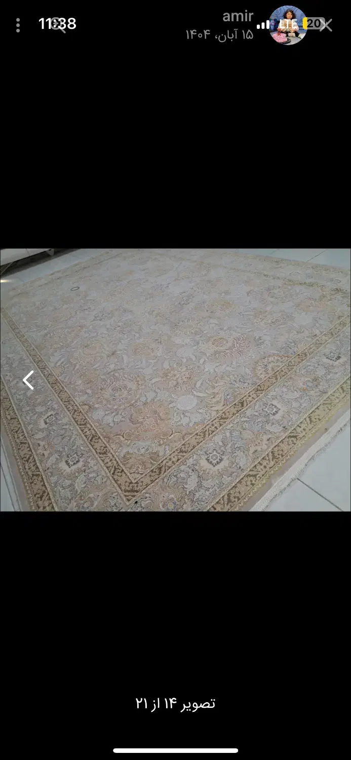 دوتخته فرش شاه عباسی|فرش|کرمانشاه, |دیوار