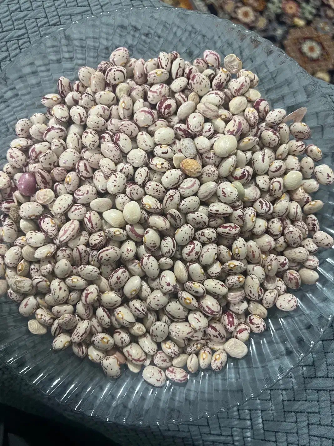 فروش لوبیا چیتی با کمترین قیمت|حراج|رباط‌کریم, رباط‌کریم|دیوار